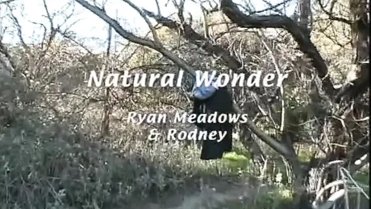 Hairy pussy anal fuck outdoor blowjob vintage