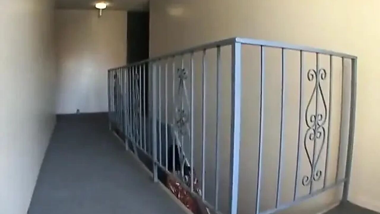 Horny slut eats cum after riding big cock on the floor