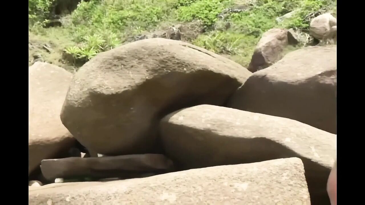 Sweet Horny Pussy