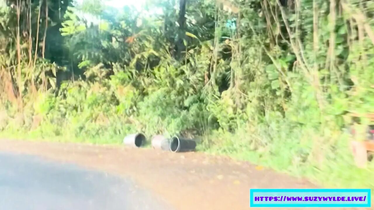 Sfw Road Trip to Hana for Suzy Wylde in Waimoku Falls, Maui