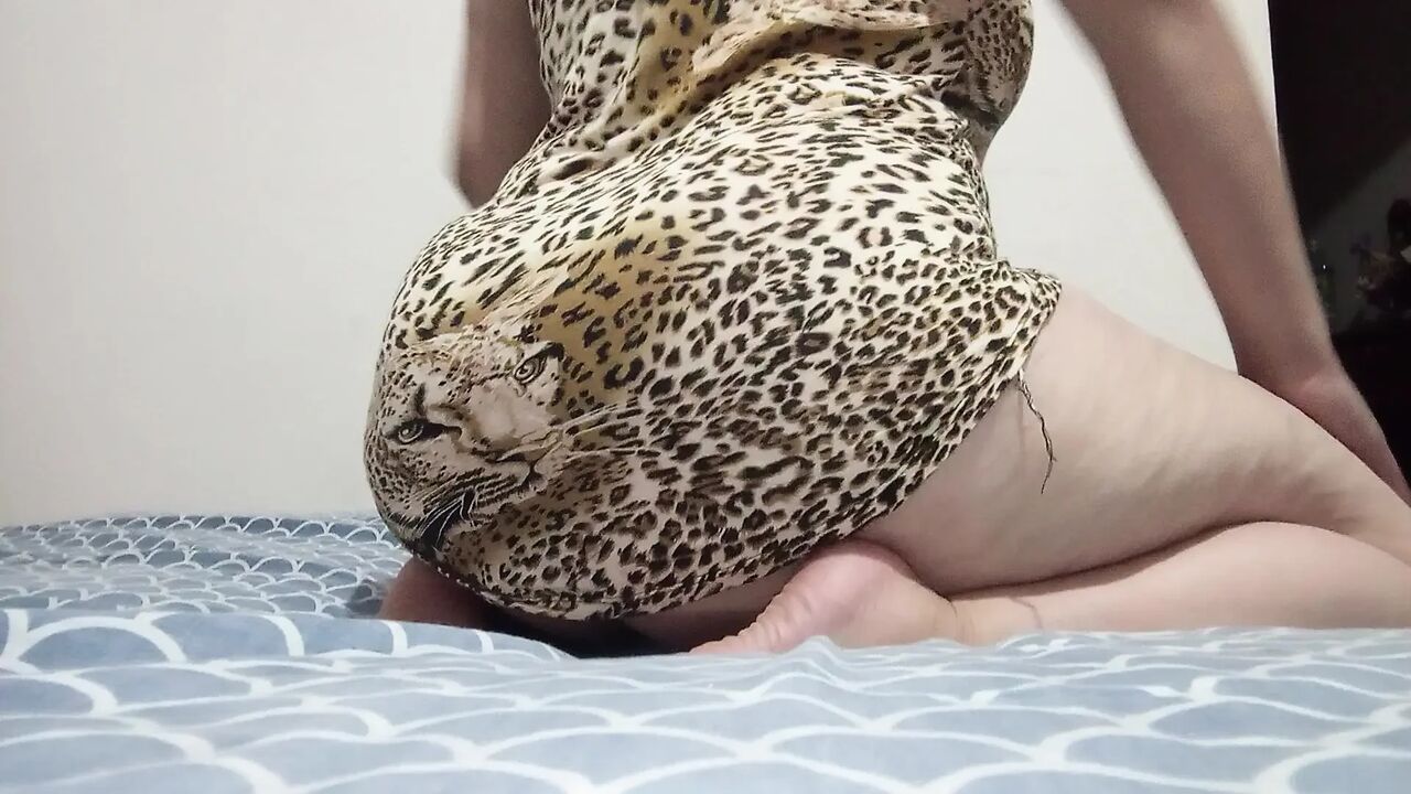 I'm Your Fiery Tigress New Video 2026