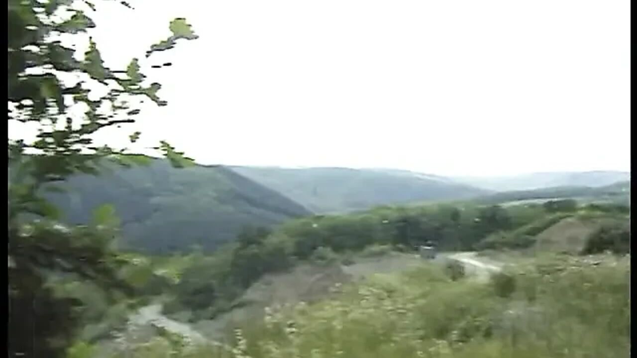 Hairless less girl gets doggysytled outdoors