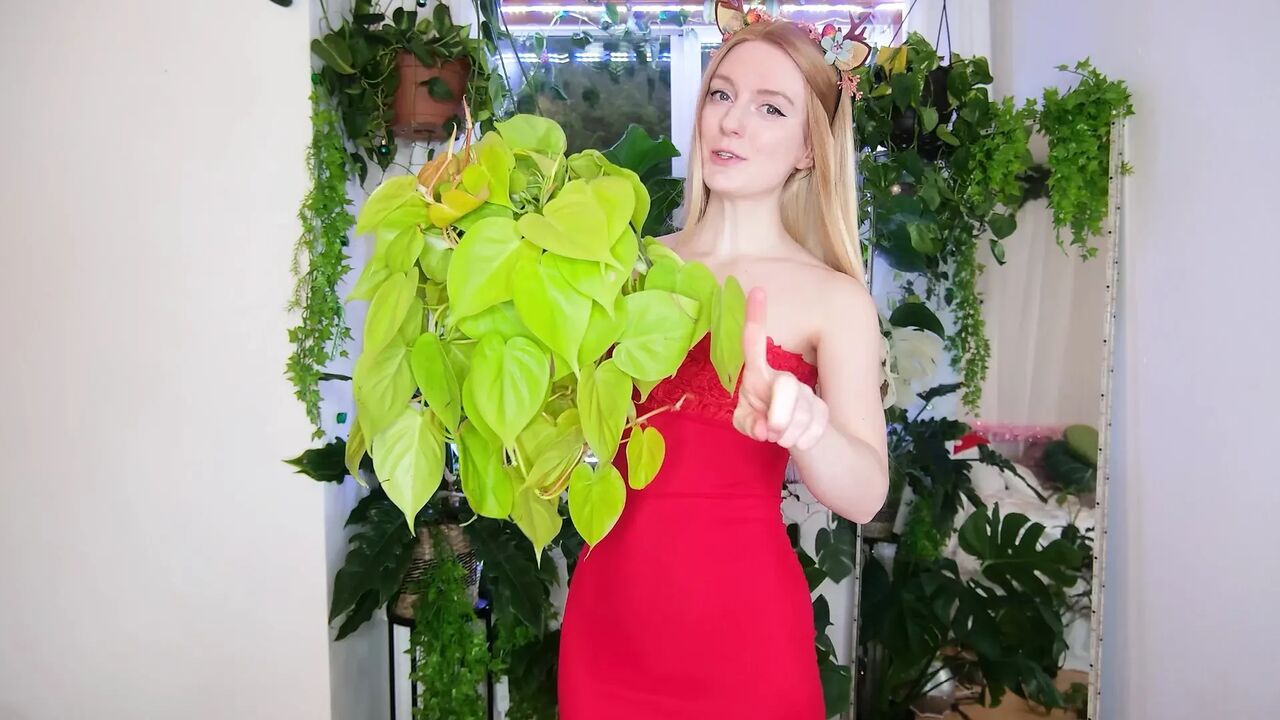 The Plants I Got For Christmas