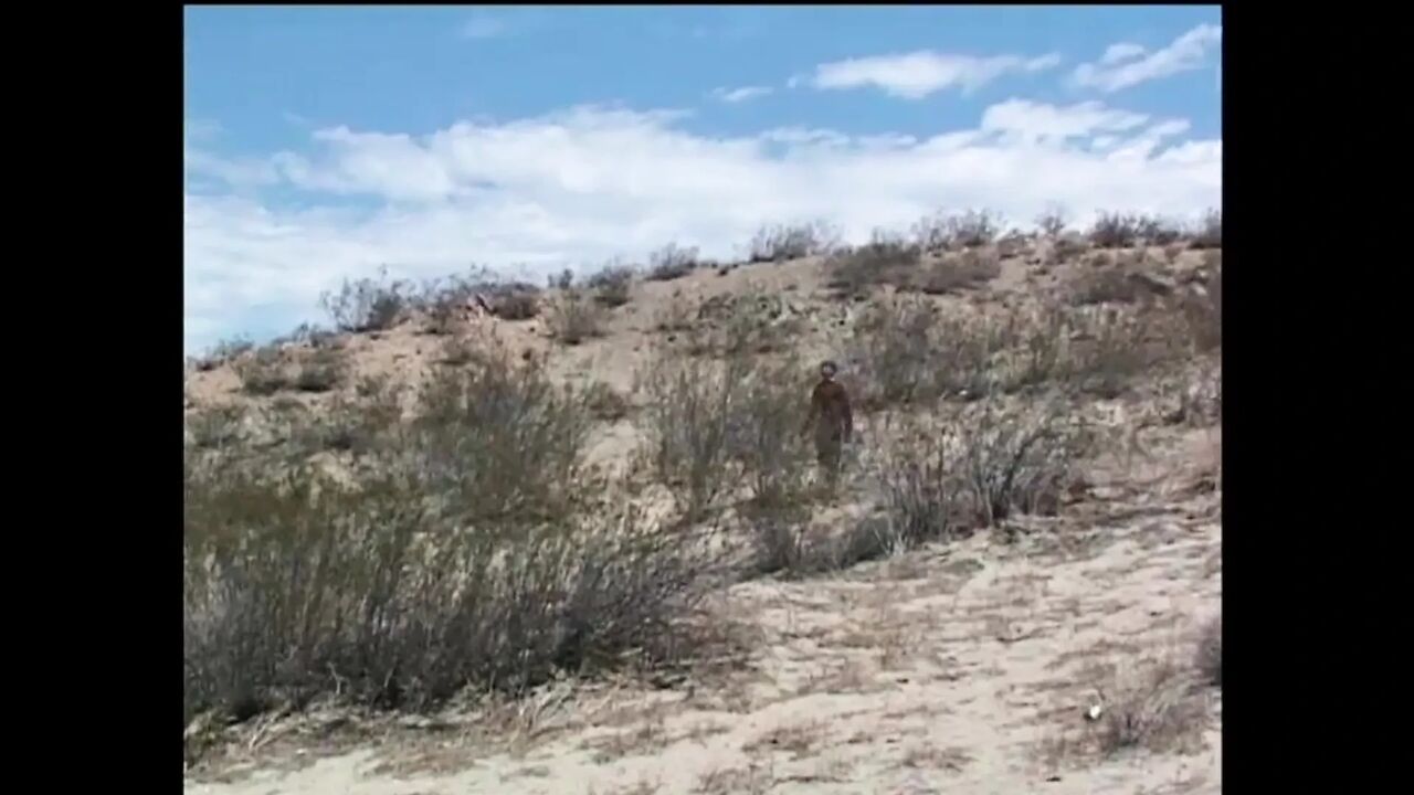 Pussy in the Middle of Nowhere