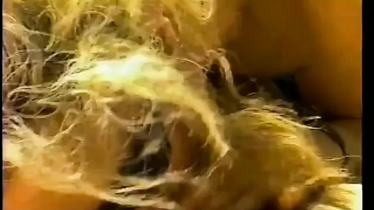 Watch him eat out granny's pussy on the florr