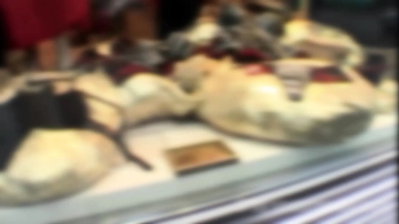 Ass Fuck for Pedigree Woman in Sexy Lingerie