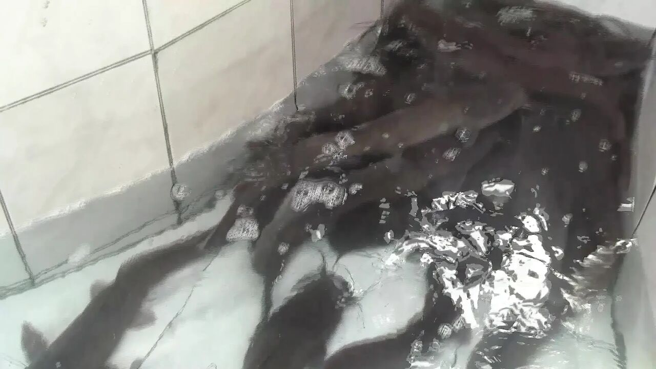How We Find and Fuck Sluts in Africa