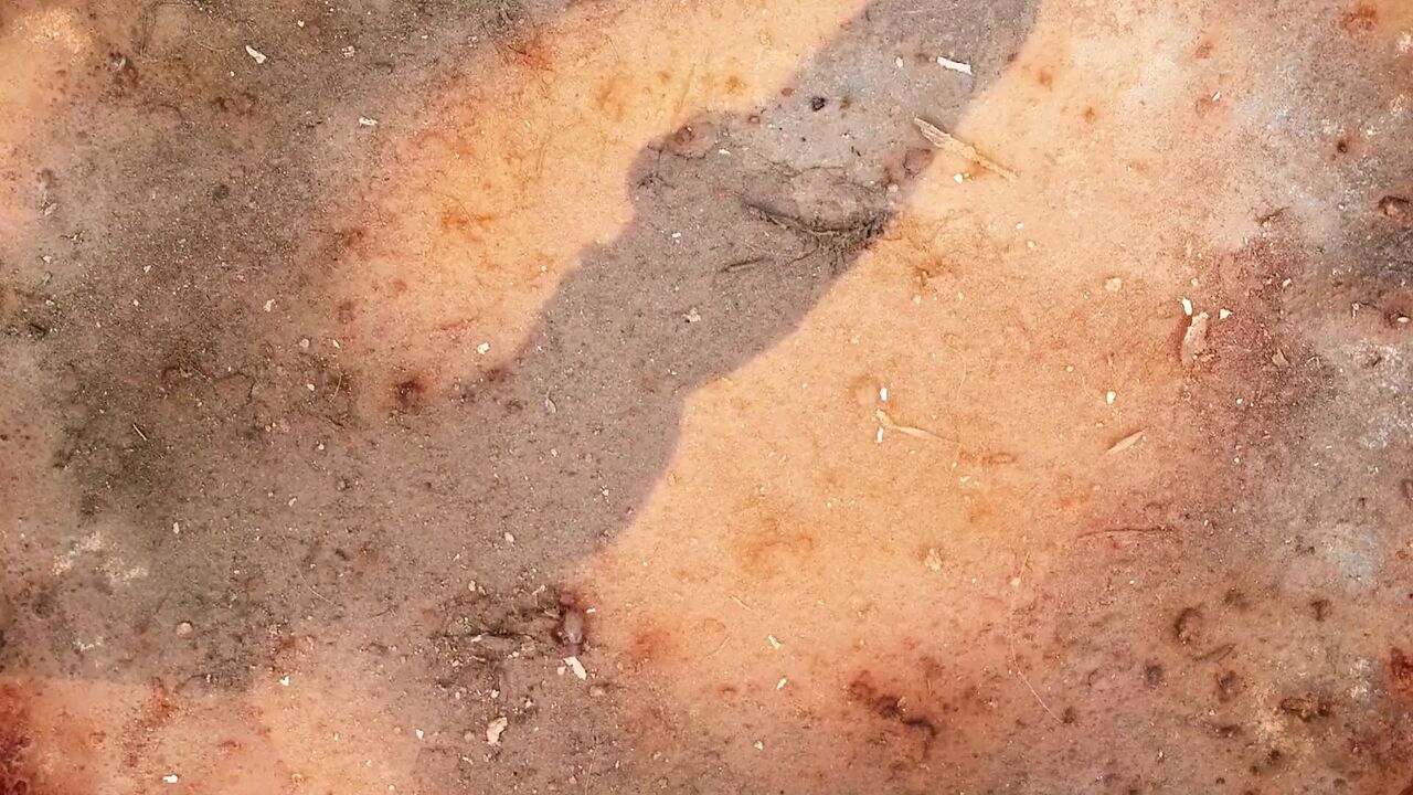 Magnificent babes get screwed in wild orgy