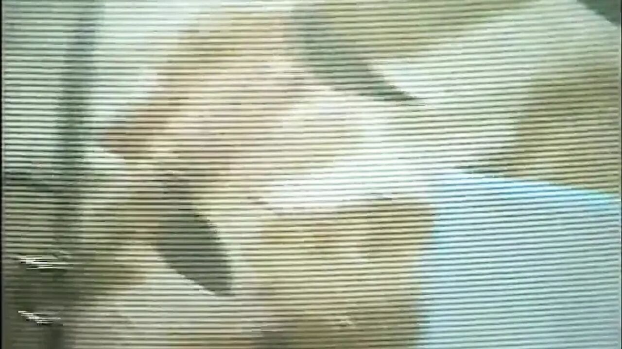 Black and white licking fucking big dick sucking in the garden
