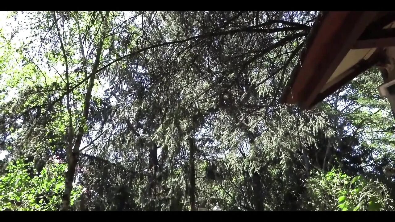 Plump Girl Gets Huge Cocks