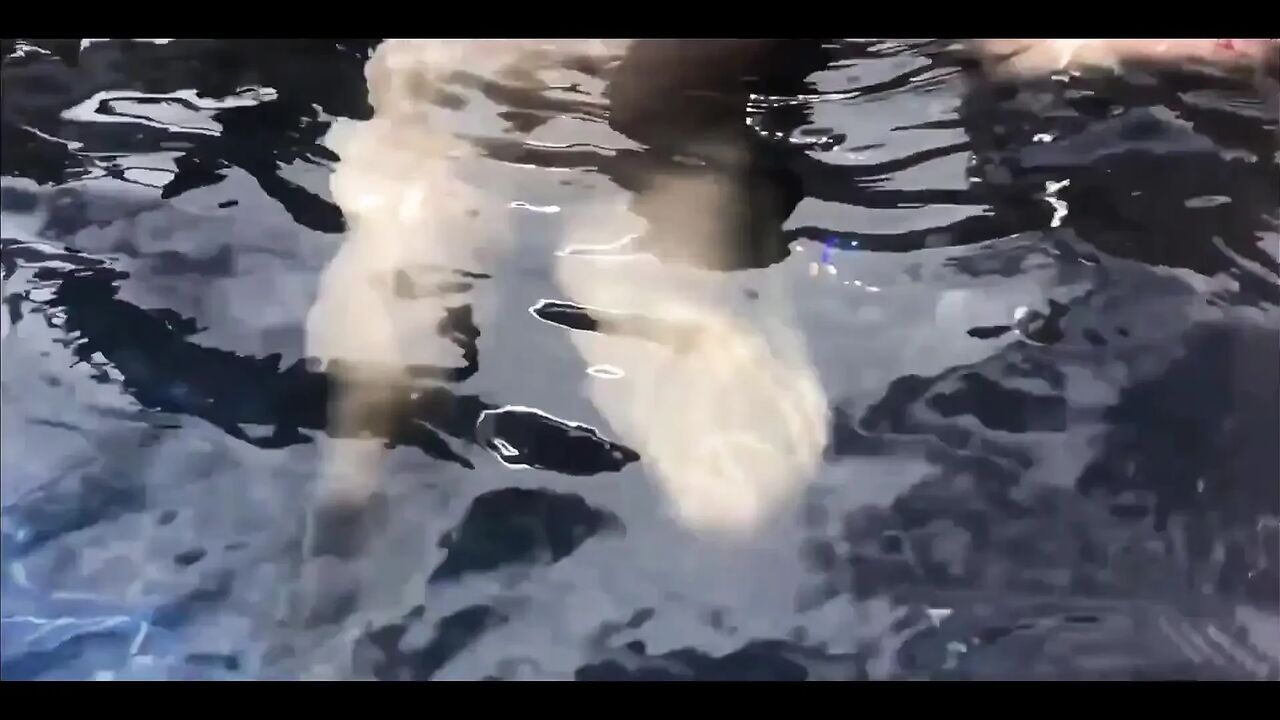 Nake Swimming and Fucking in the Pool