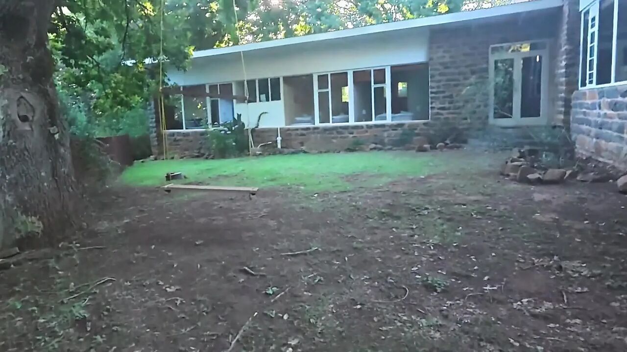 The Firewood That Never Made It Home