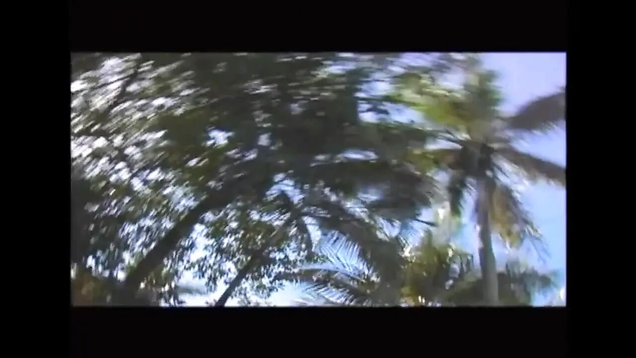 Lesbian sex on the desert island