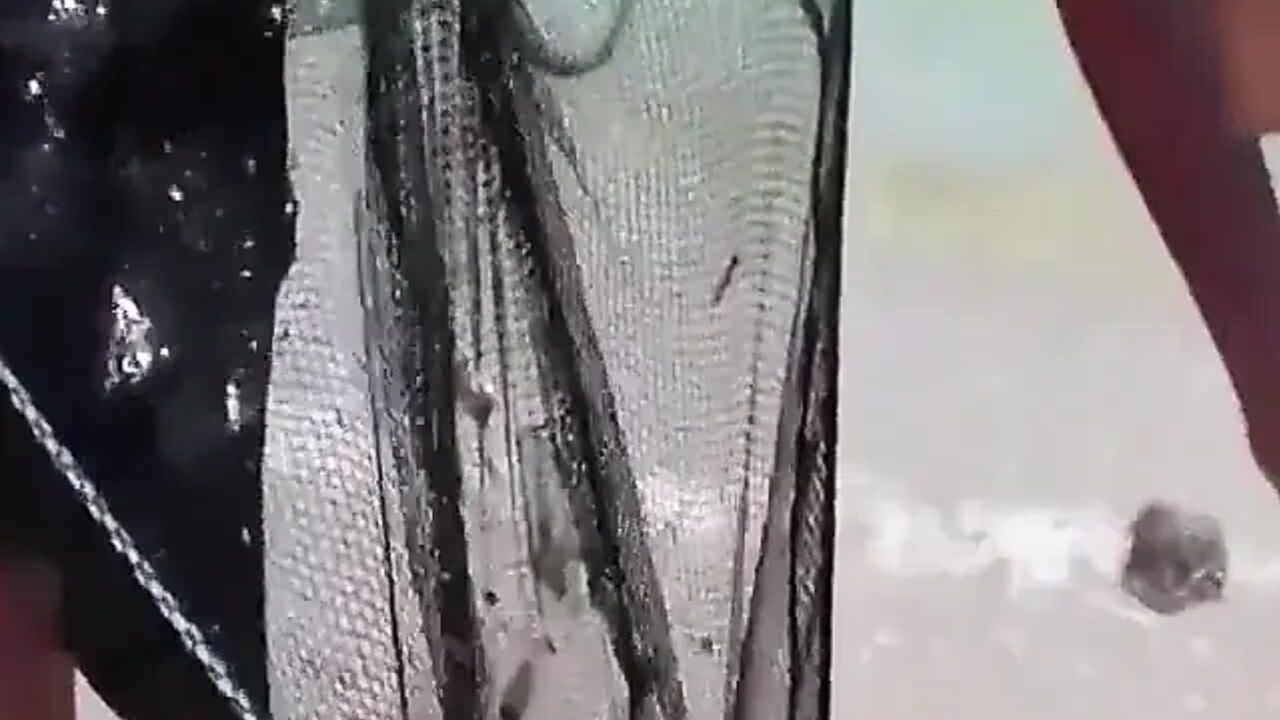 A good fucking down on the beach