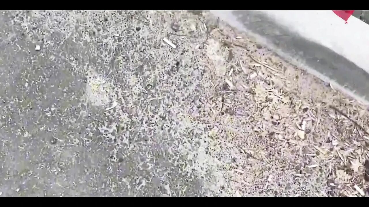 Real Homemade Porn Video with Story Sex