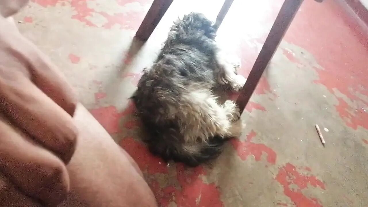 Step Mother Has Some Needs Home Alone