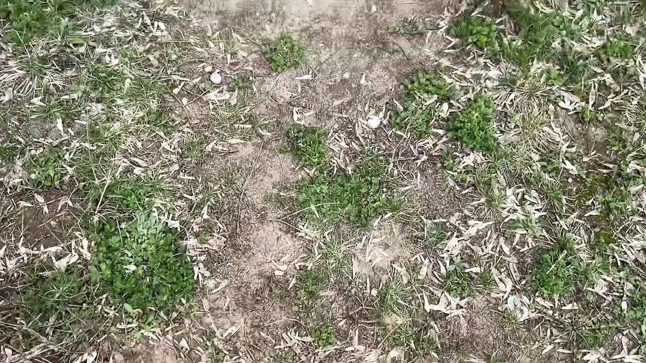 Real Hot Sex Made at Home