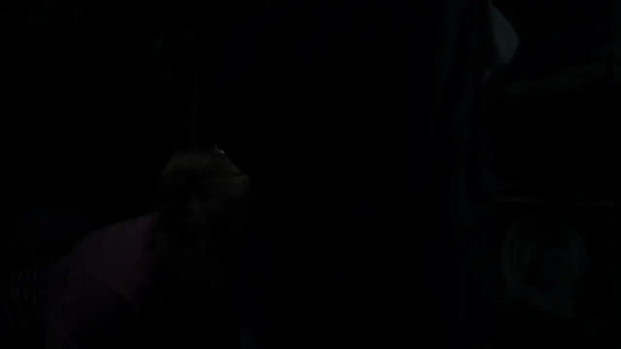 She Sucks My Dick in the Dark While I Film
