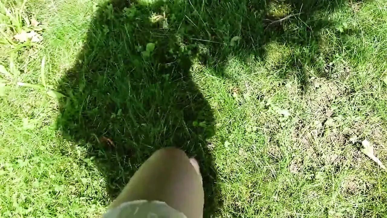 Squirting in a Forest