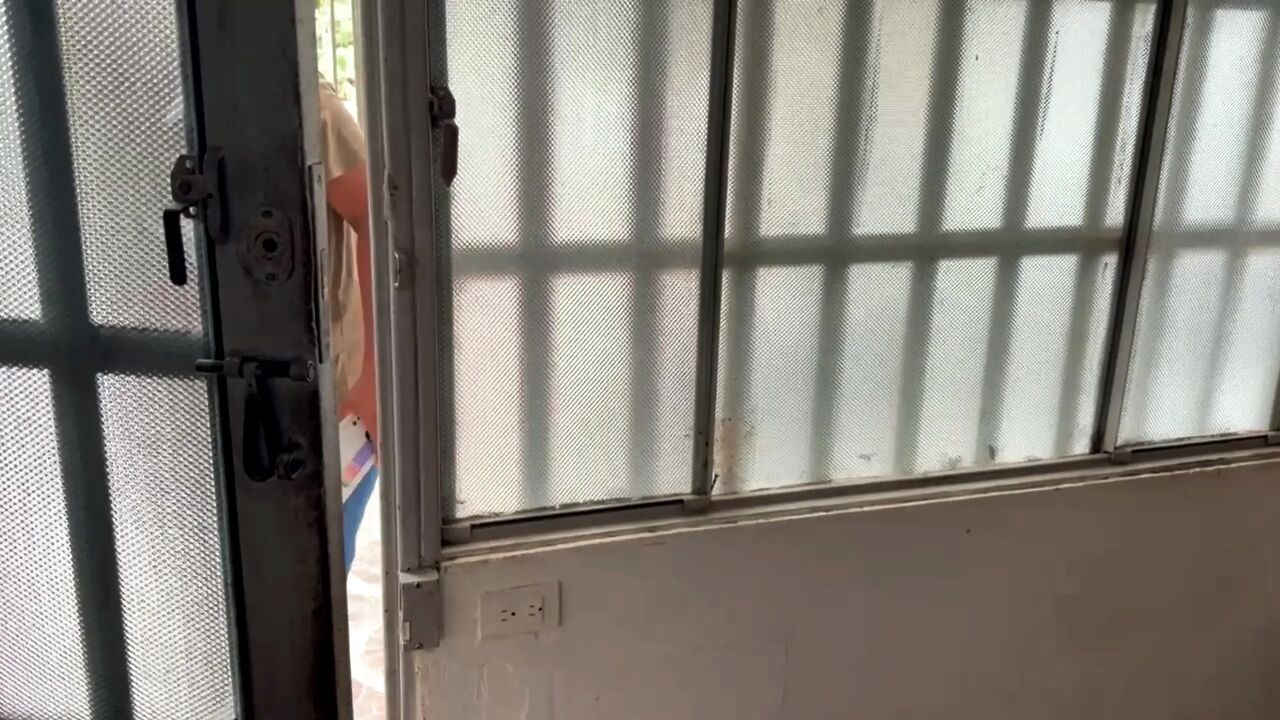 While doing a market in the street, they accidentally fell into our yards.