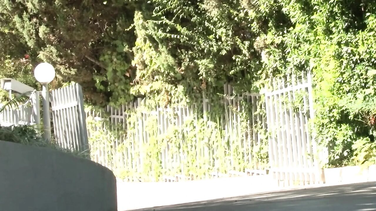 Busty MILF Mayhem 3