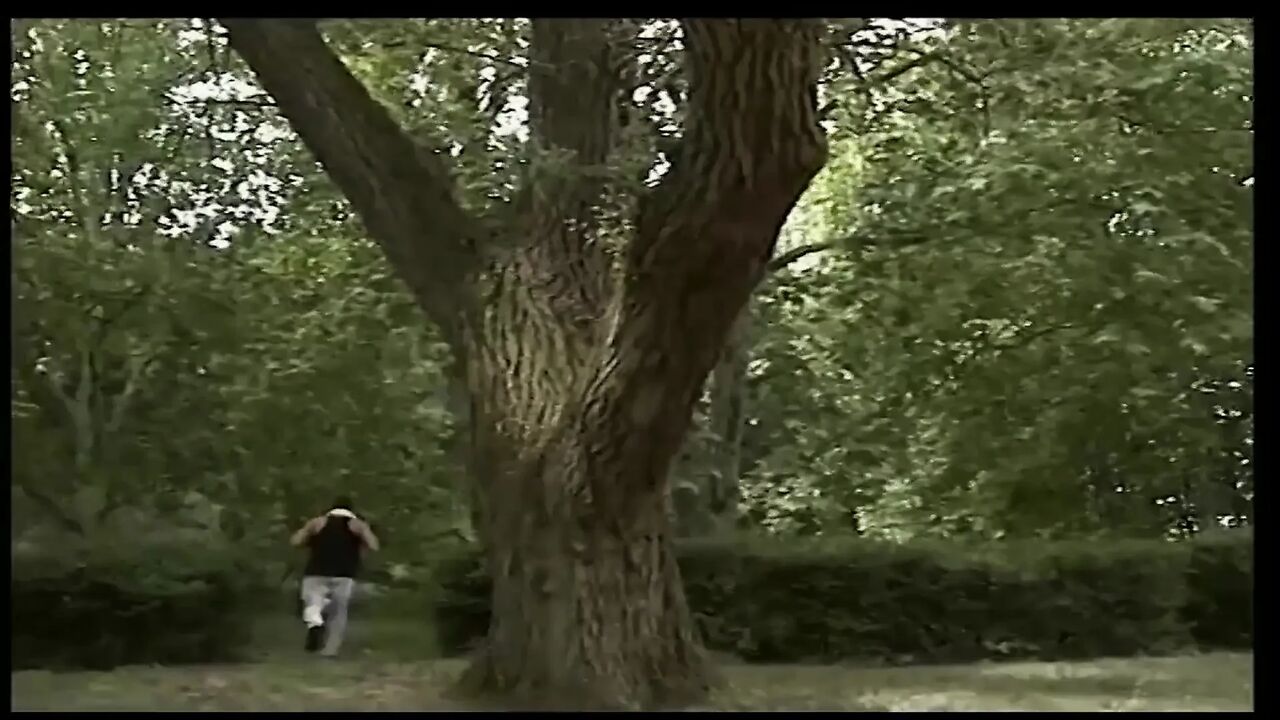 Anal Surprise in the Woods