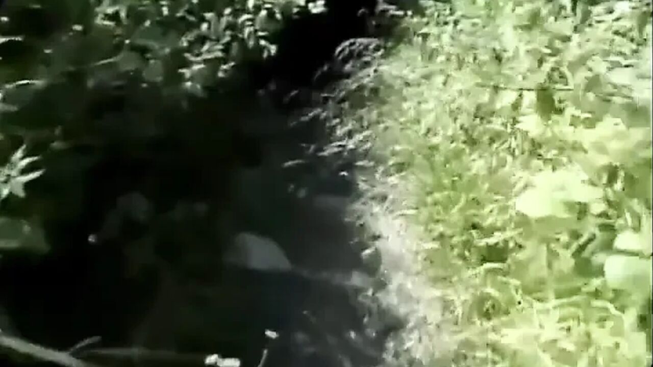 Vintage horny nymph is hairy and ready to swallow