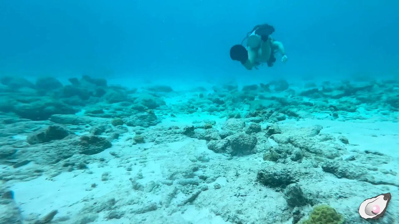Alone Time in Bonaire