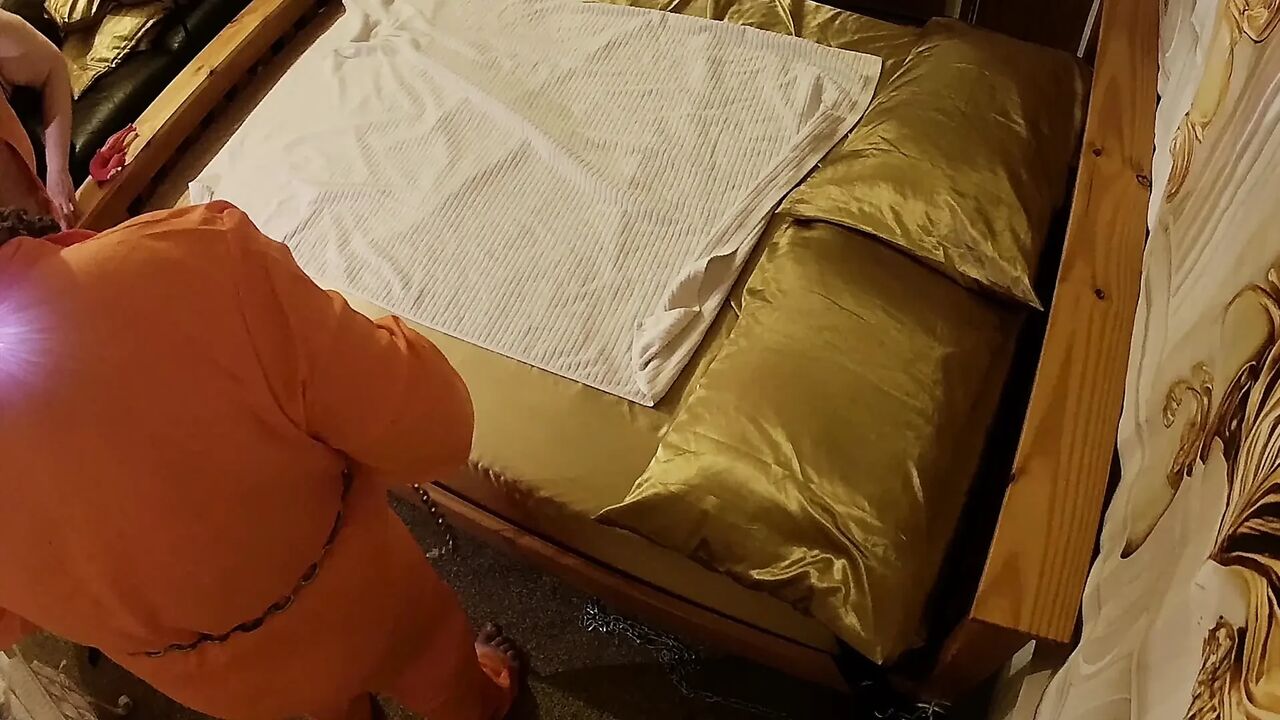 Part 1:- Swine Cock Give Harlequin A New Toy!