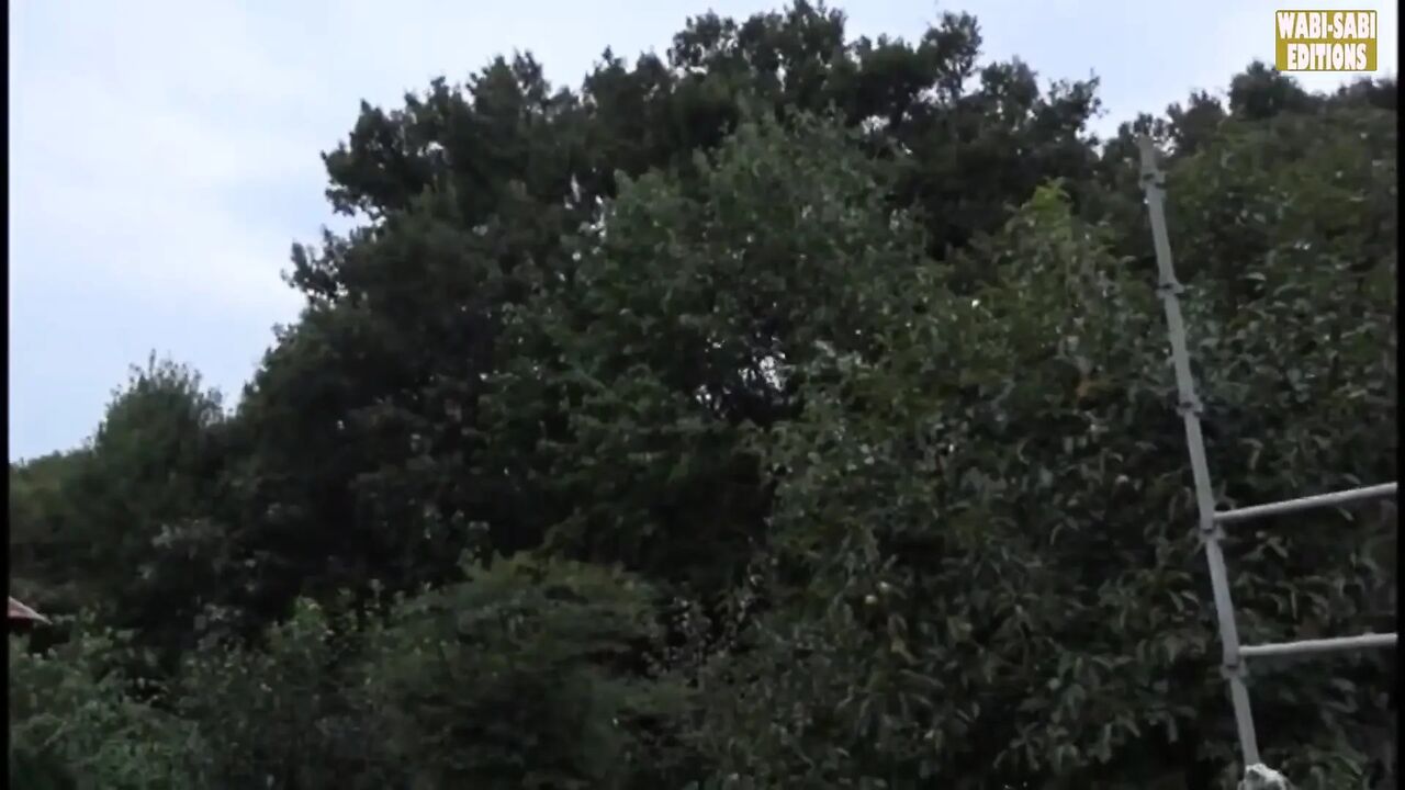 Rural Escape Where Free Spirited Mature Women Embrace Open Air Adult Freedom -scene.2