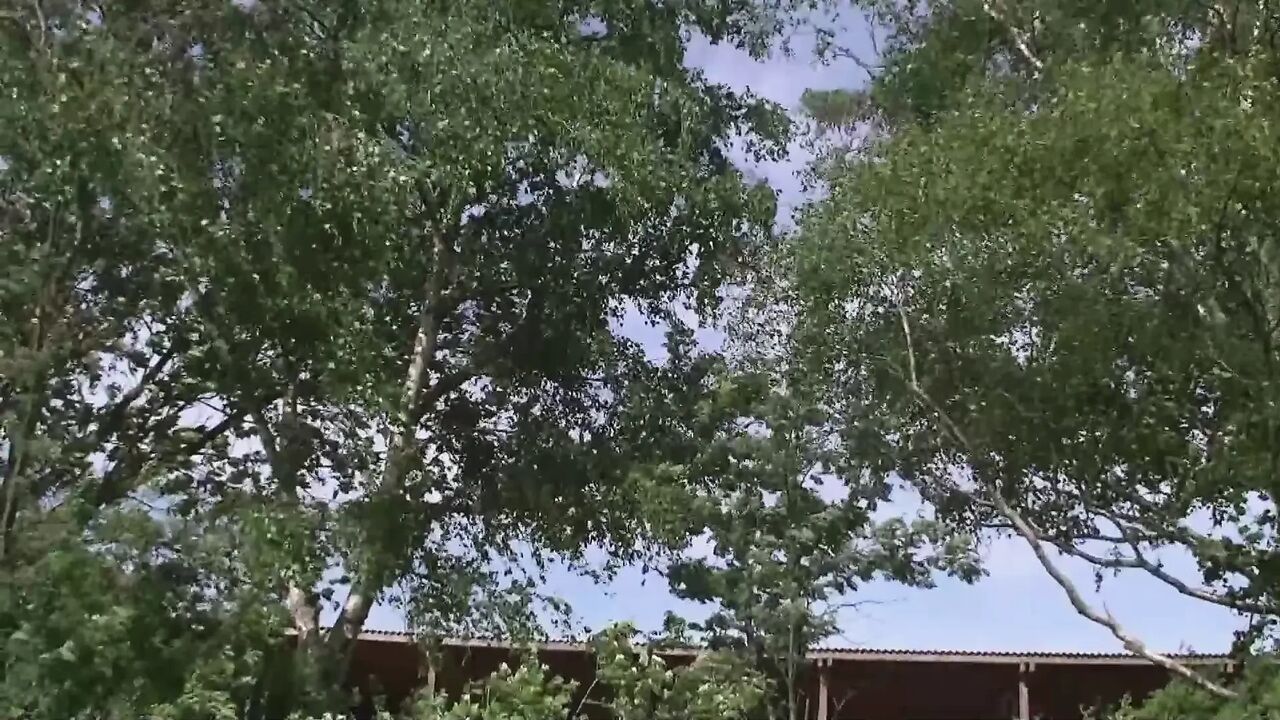 Hot german milf - Outdoor