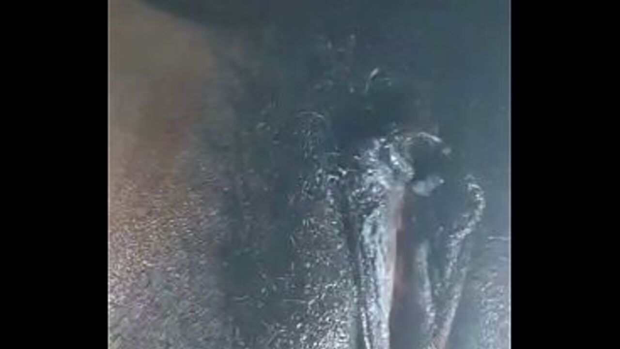 Horny Wet hot cumshot pussy dripping