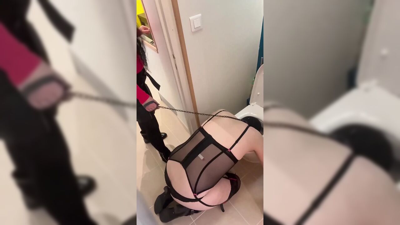 Head in the Toilet...