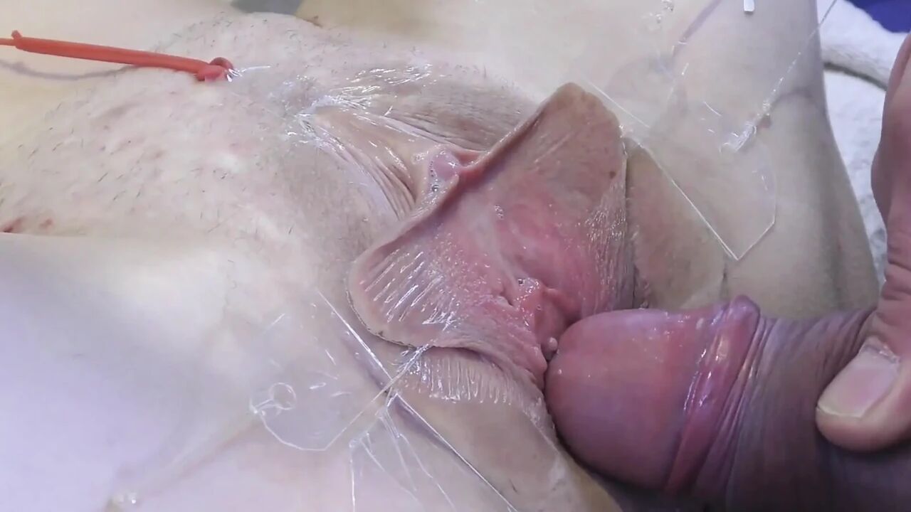 5 Fucking Pussy Spread Far up Close
