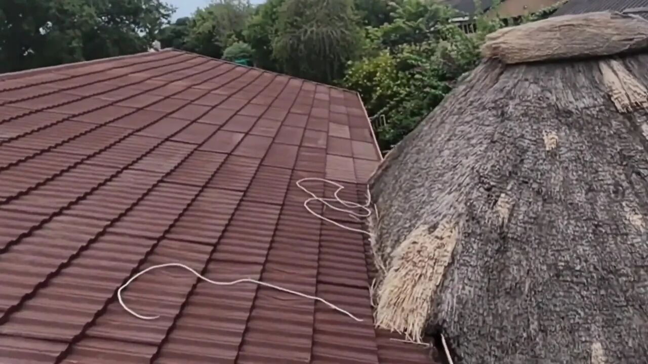 Caught My Neighbours Fucking When Flying with My Drone