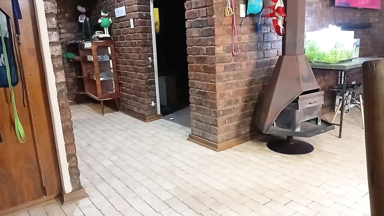 Caught My Husband Cheating with a Cheap Prostitute
