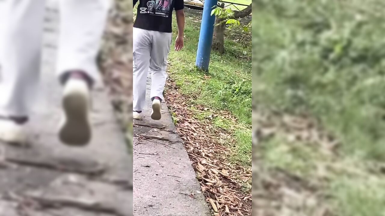 Neighbor Comes Home