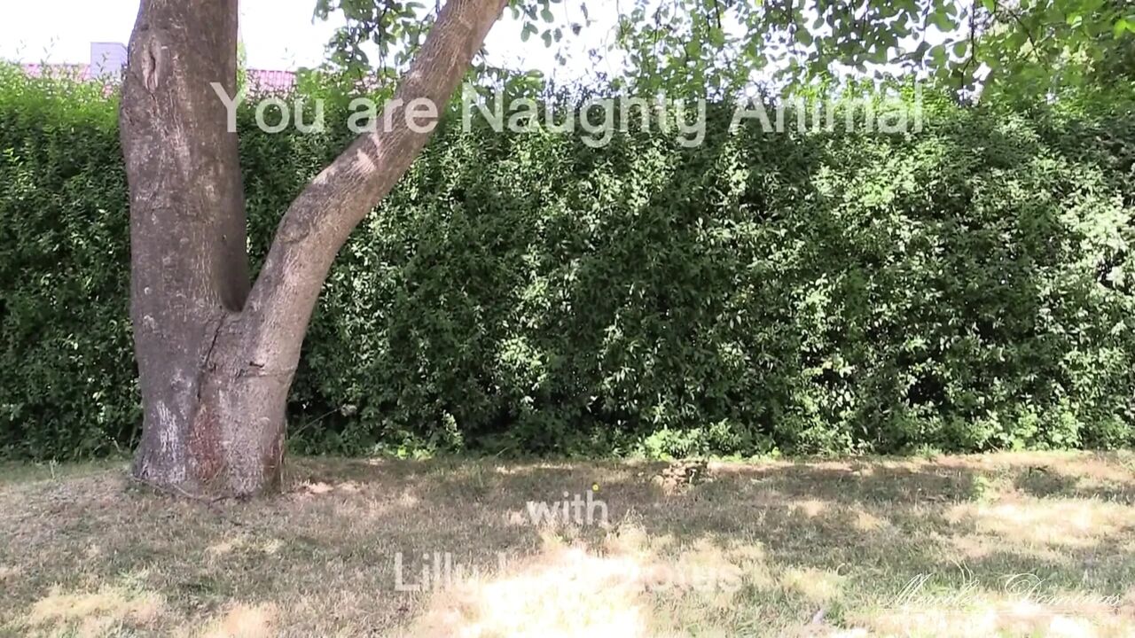 You Are Naughty Pig