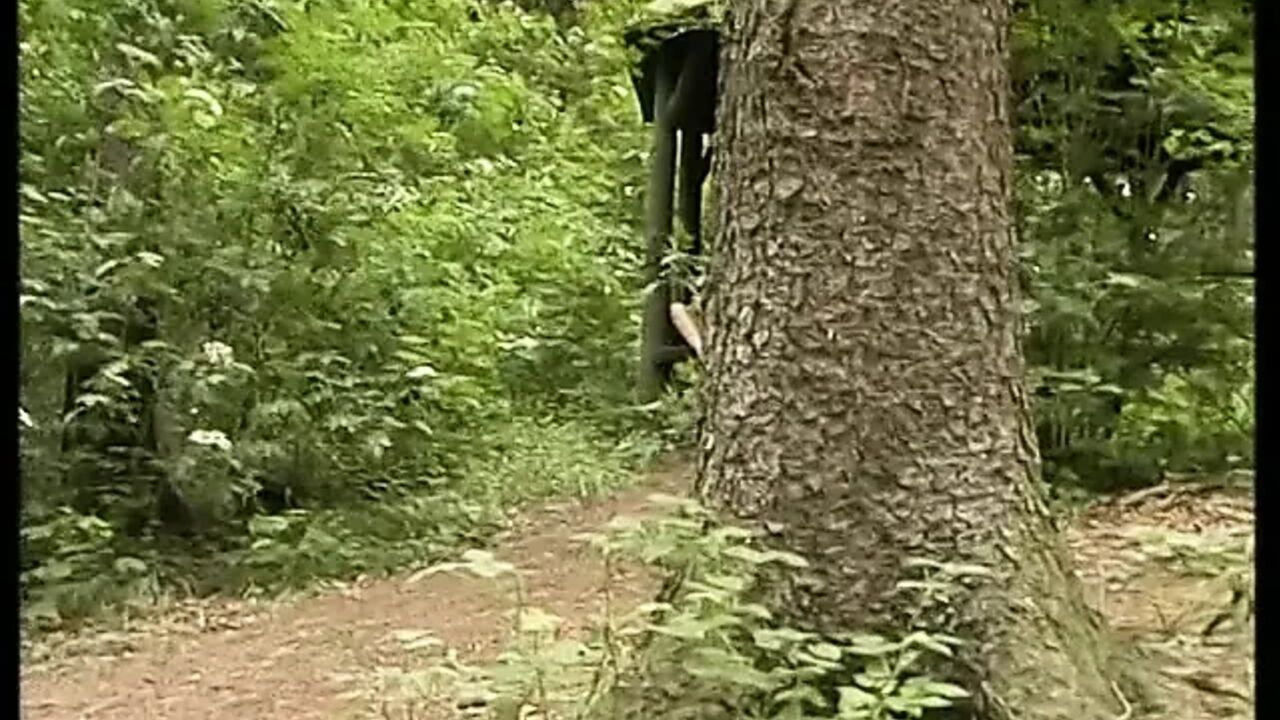 Short hair blonde bitch is fingering her wet pussy outdoors