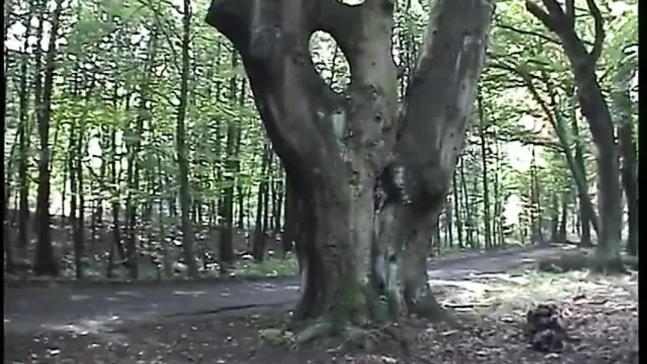 Redhead chick plays with her pussy outdoors
