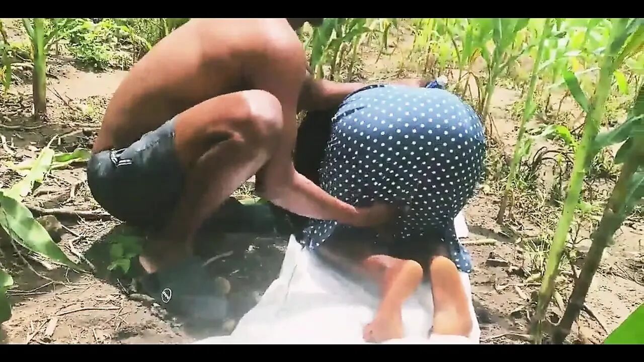 Farm Doggyshot