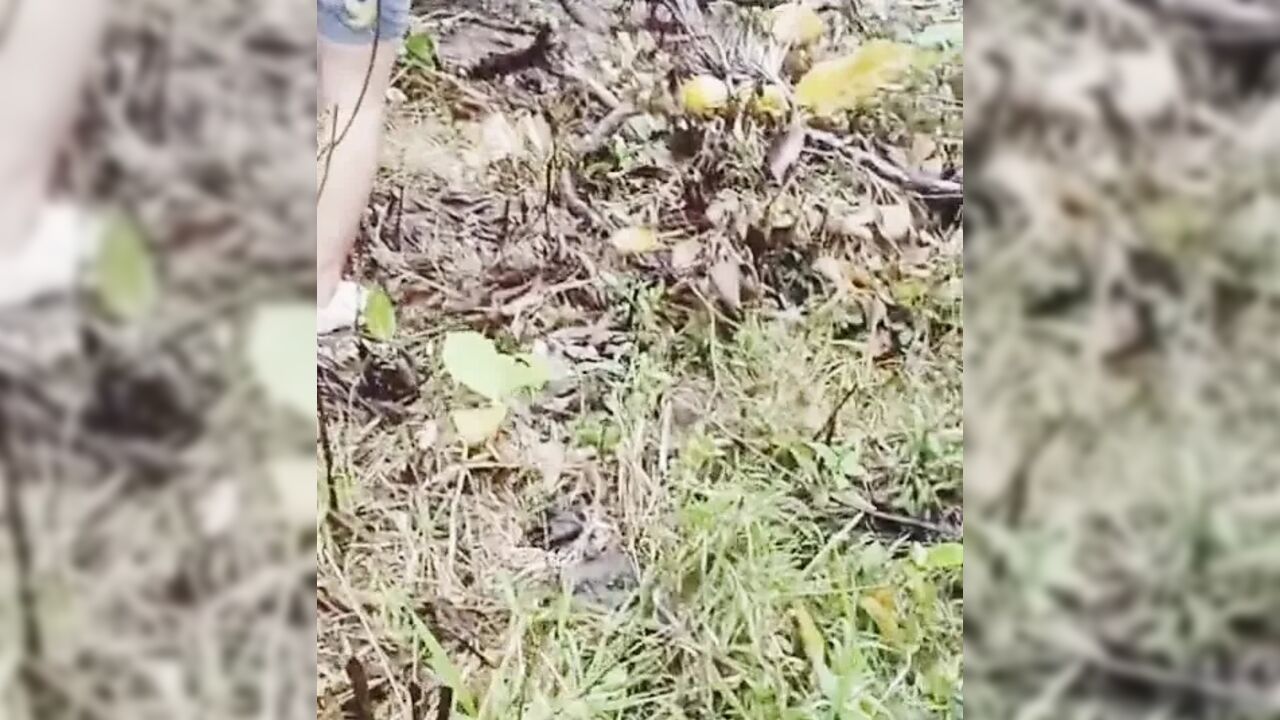 Kahit saan abutin ng libog go talaga.