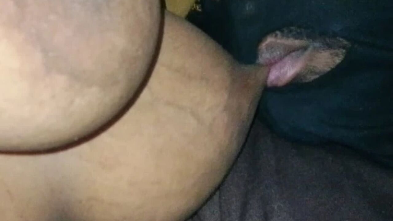 Indian Local thief Sucked Bhabhi Boobs and then Fucked Hindi xxx