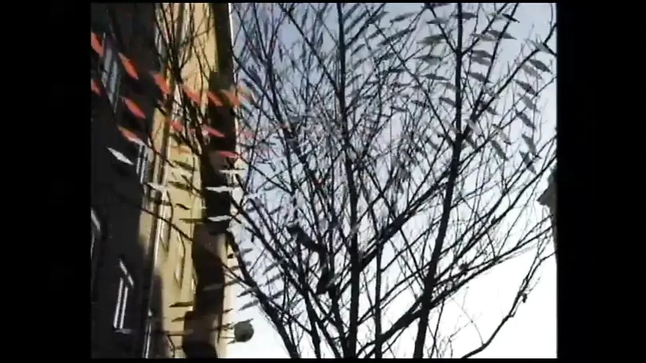 Masturbation