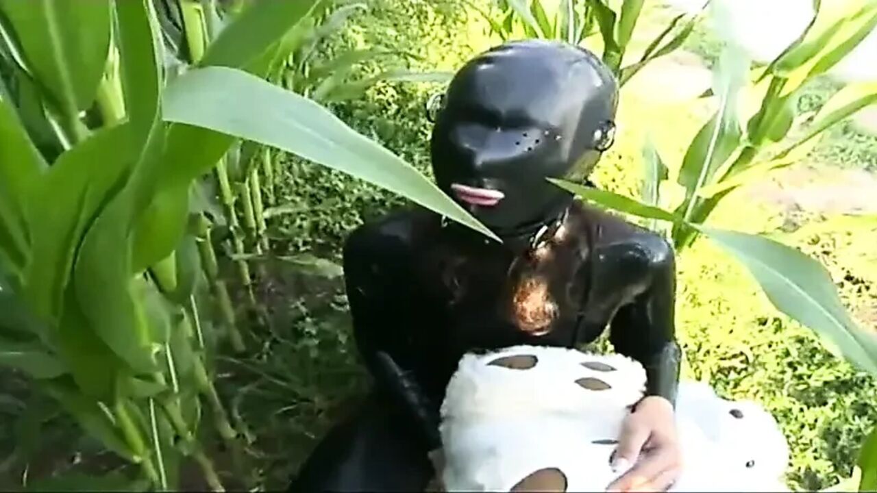 Presenting my latex photo shooting with my stuffed toys