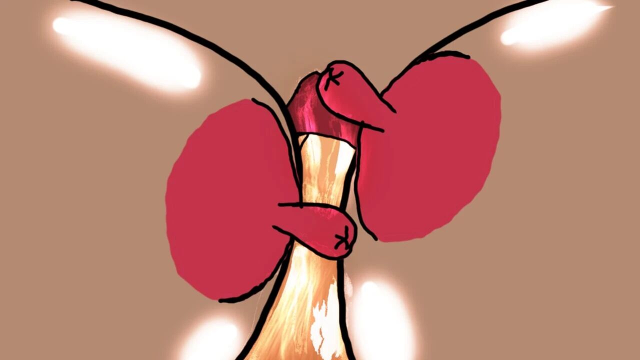 Craving the Heat: A Showcase of Irresistible Desire