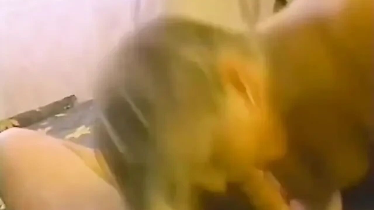 Blonde Violet Gives a Noisy Blowjob