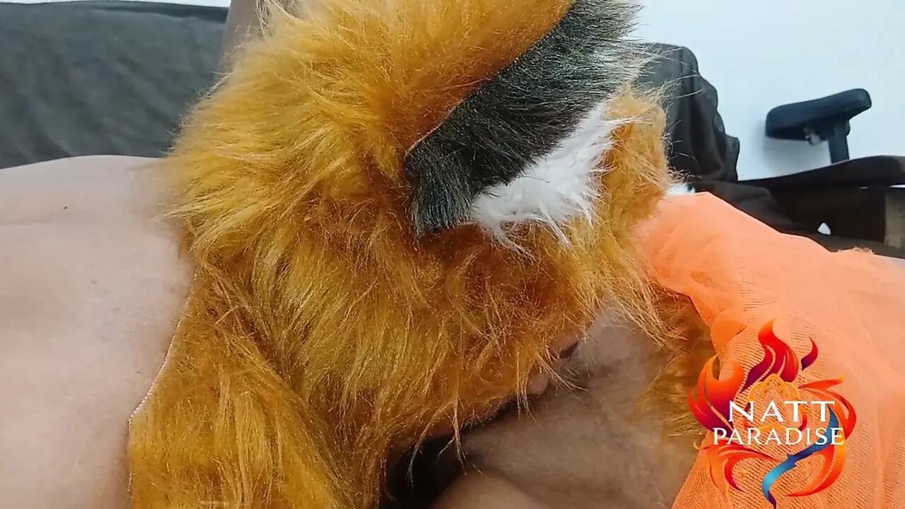 A Fox Climbing