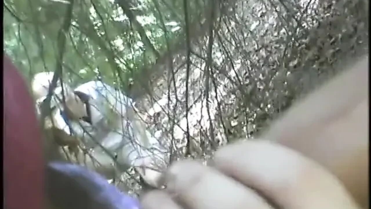 Pretty petite Asian gets huge dick in ass vintage anal