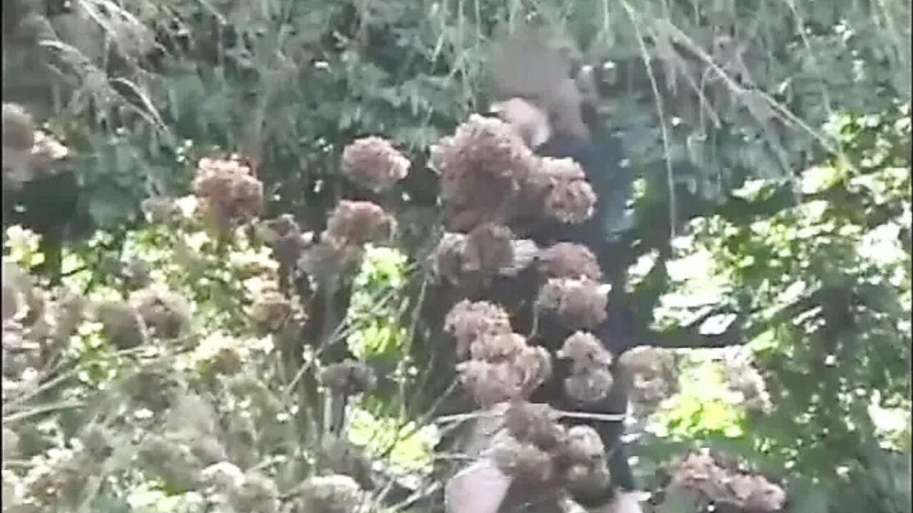Outdoor flashing aughties loads